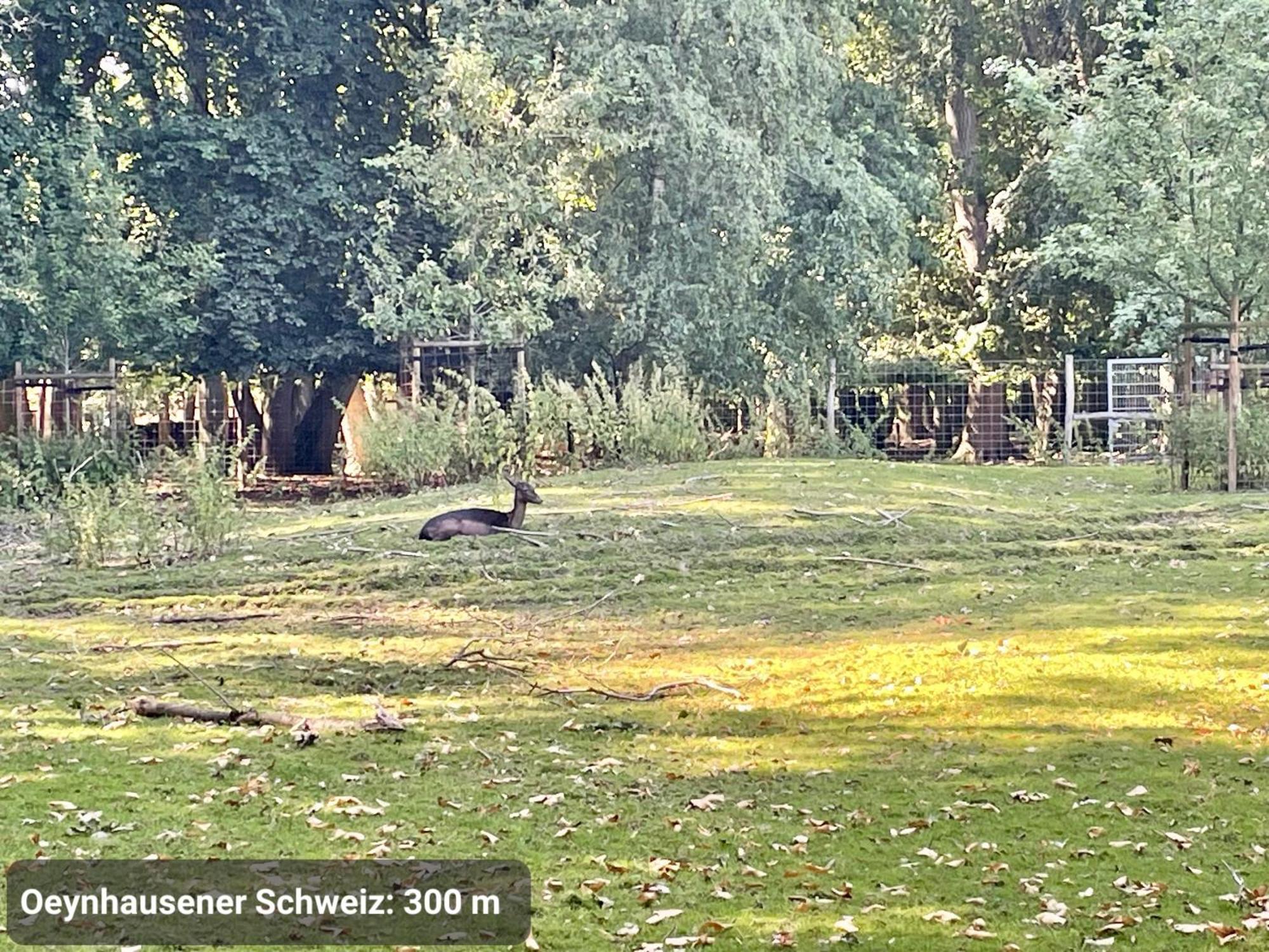 Kvartier2 In Top-lage, 5 Min Zur Bali-therme Und Gop, Hdz, Arbeitsplatz, Boxspringbett
